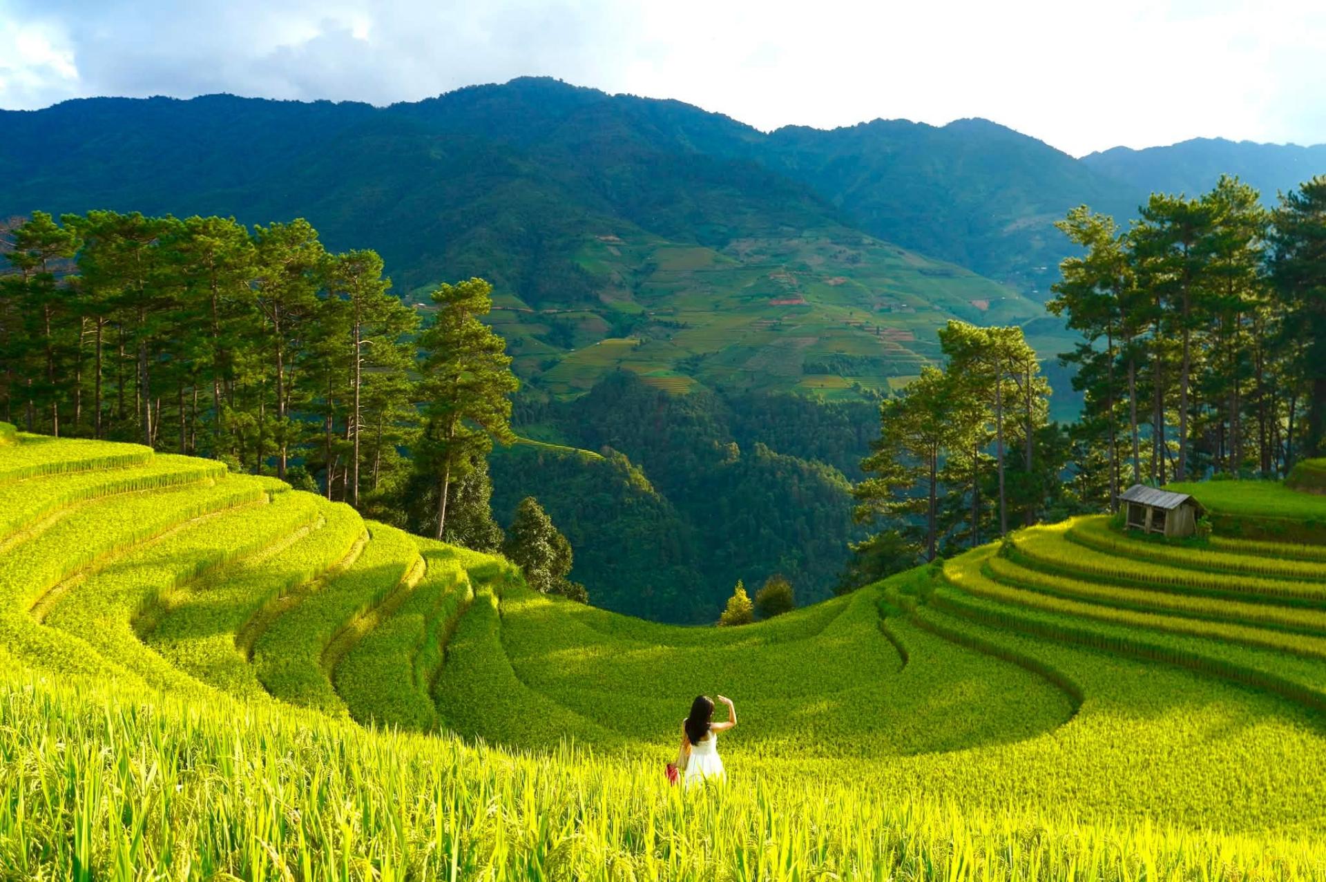 moontravel.com.vn