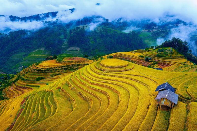 moontravel.com.vn